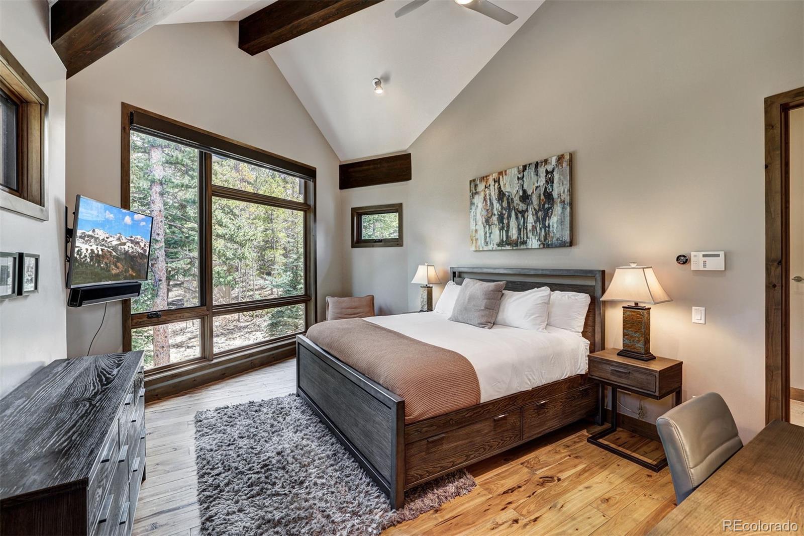 106 N Gold Flake Terrace Breckenridge CO 80424