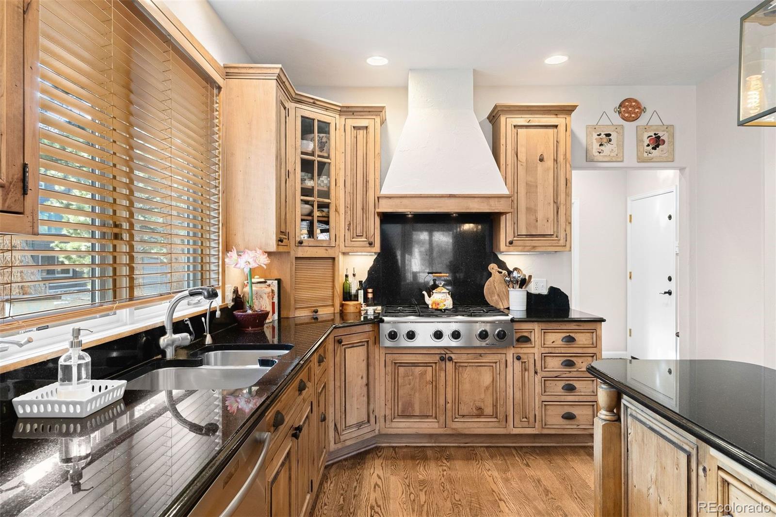 1443 Belford Court Evergreen CO 80439