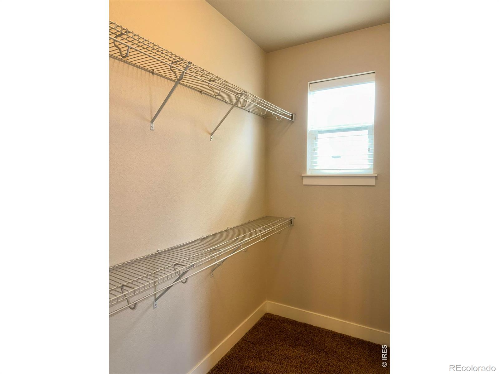 726 Callisto Drive Loveland CO 80537