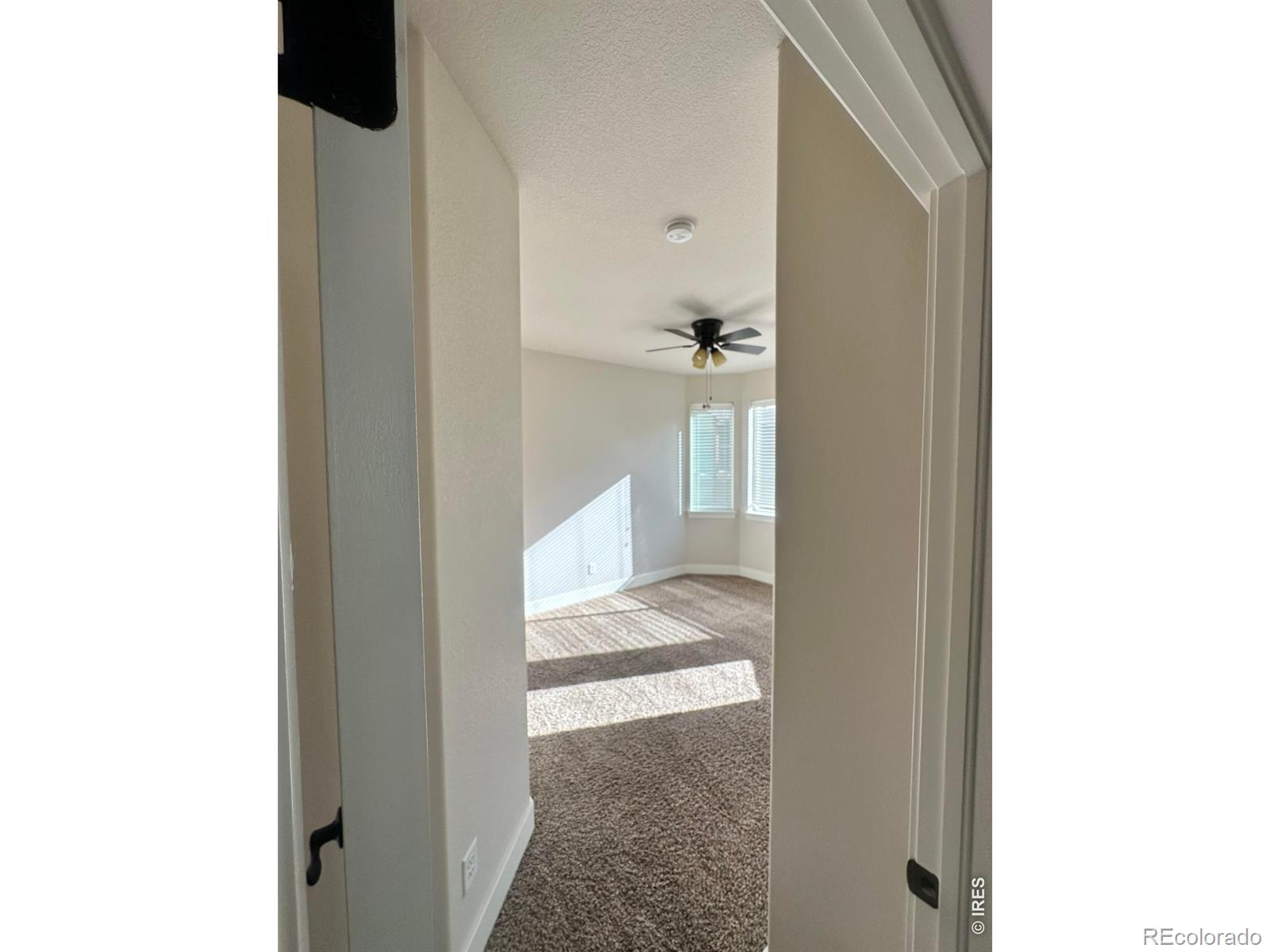 726 Callisto Drive Loveland CO 80537