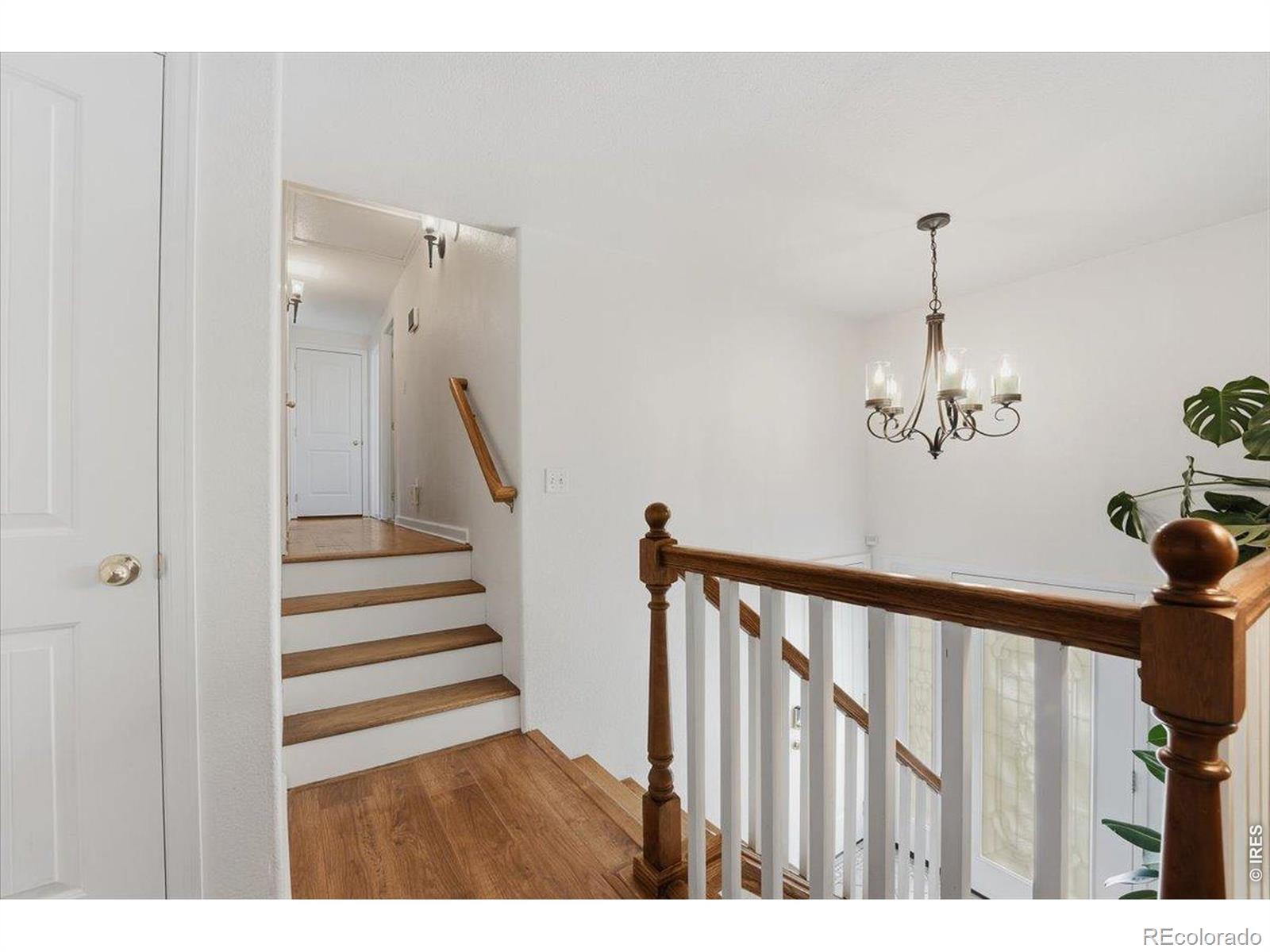981 Nantucket Street Windsor CO 80550