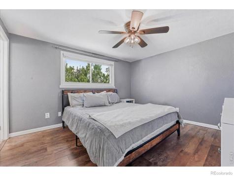 981 Nantucket Street Windsor CO 80550