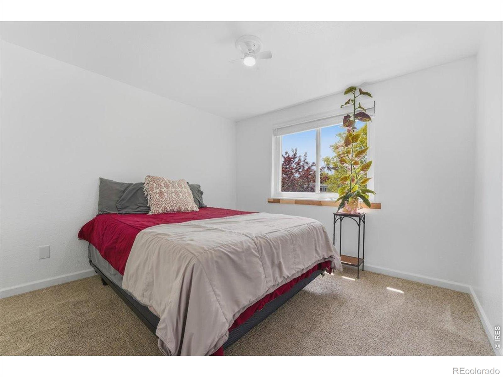 981 Nantucket Street Windsor CO 80550