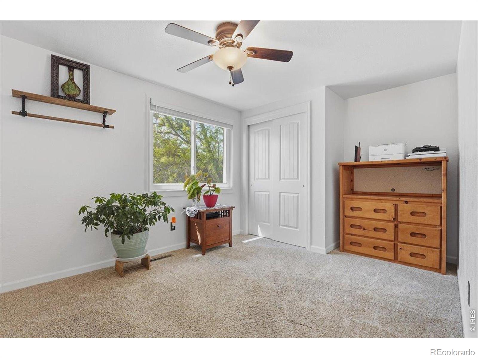 981 Nantucket Street Windsor CO 80550