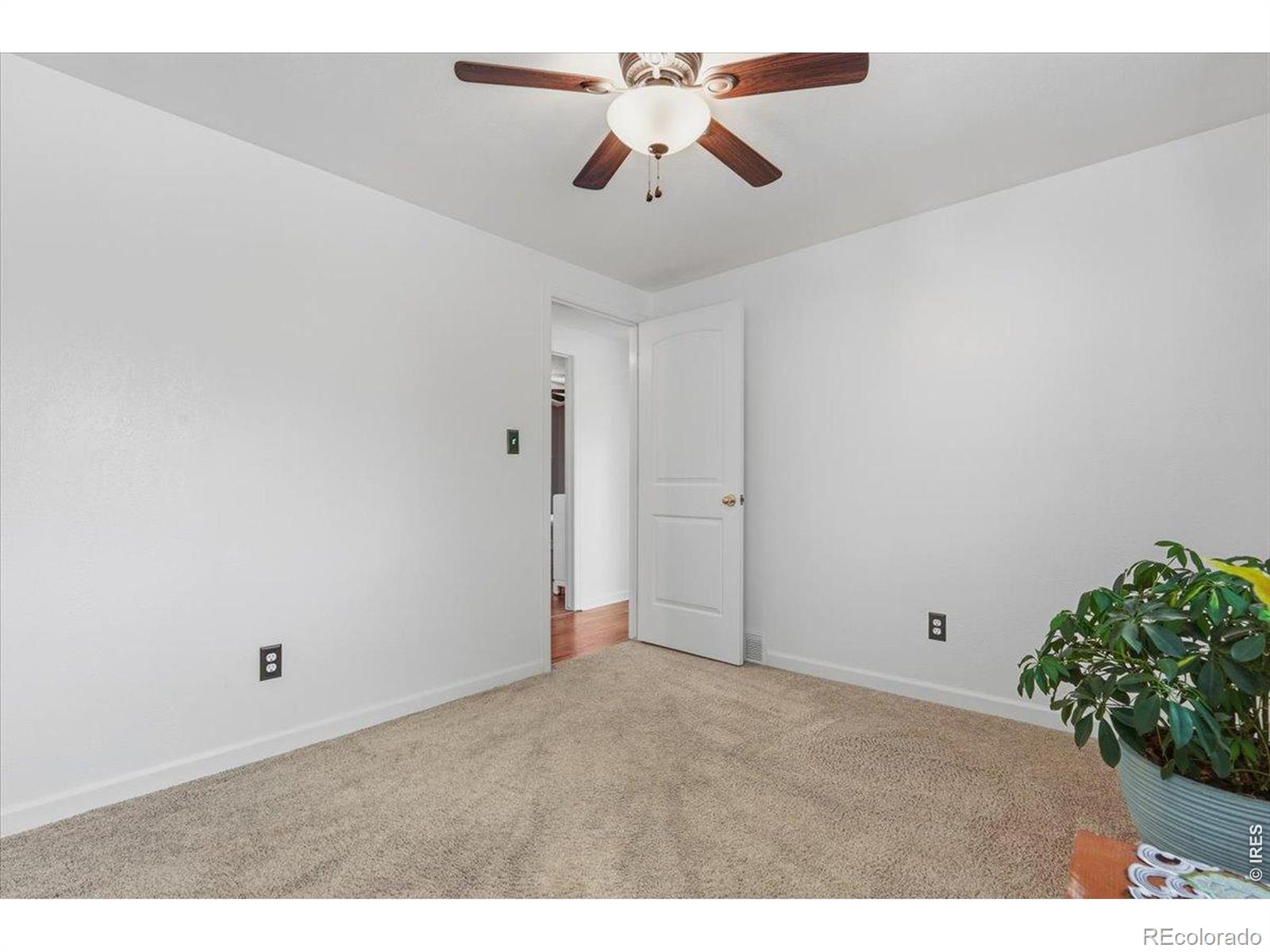981 Nantucket Street Windsor CO 80550