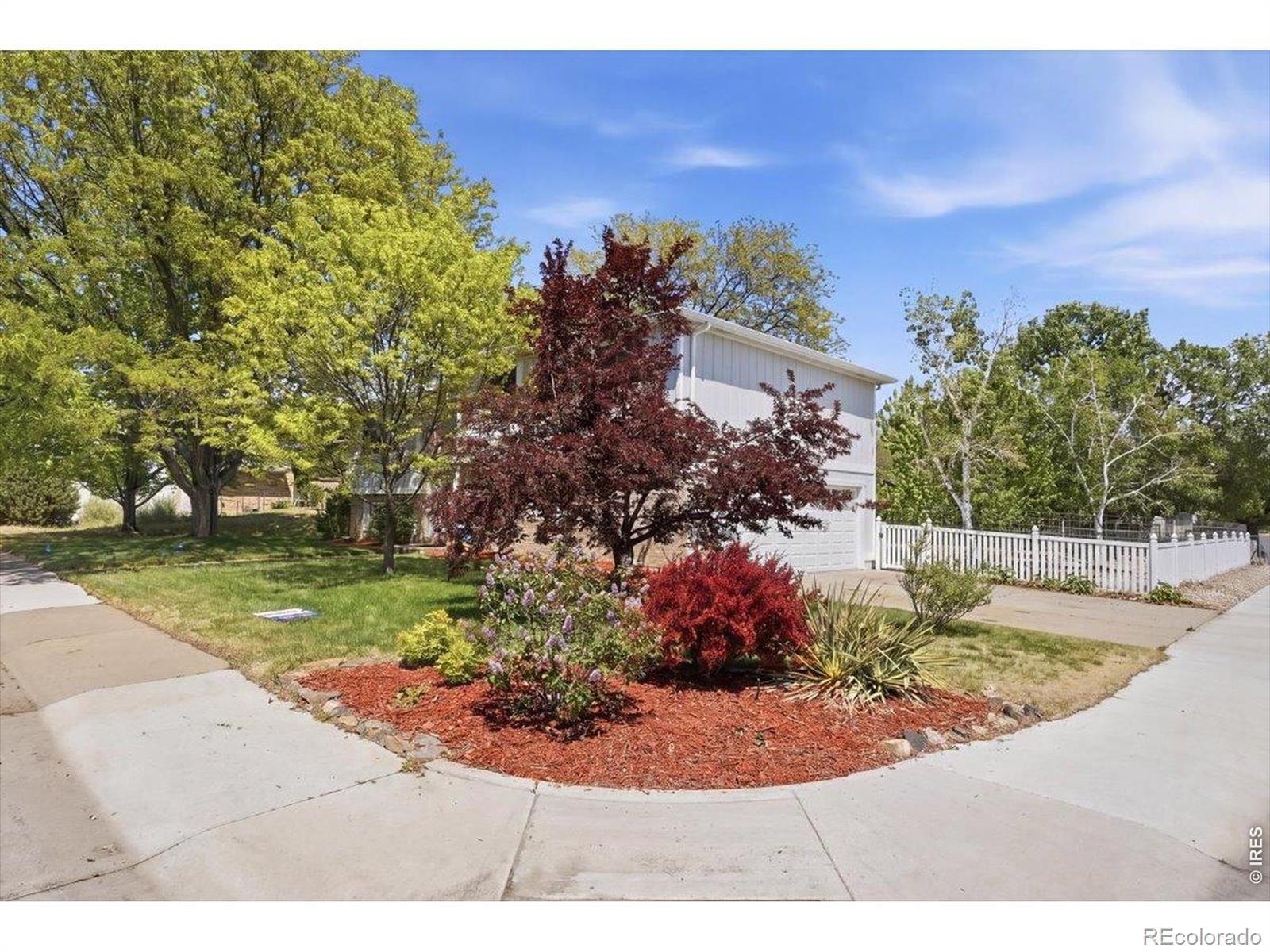 981 Nantucket Street Windsor CO 80550