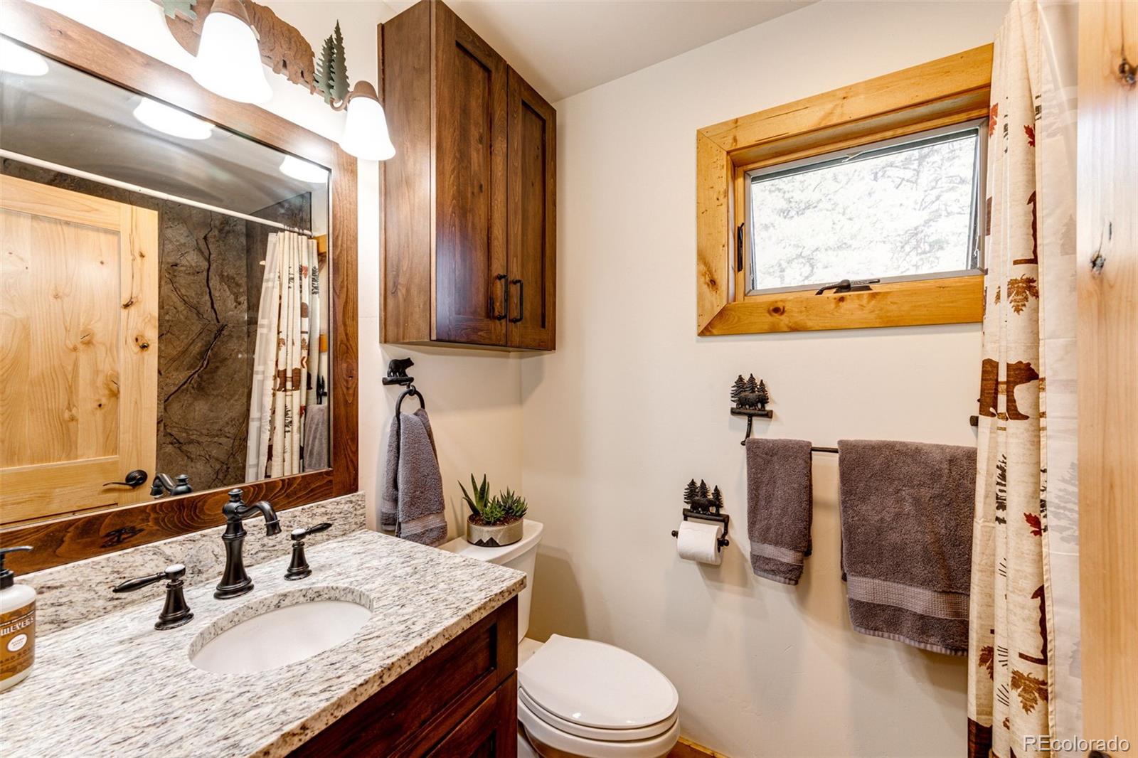 31266 Half Peak Trail Pine CO 80470