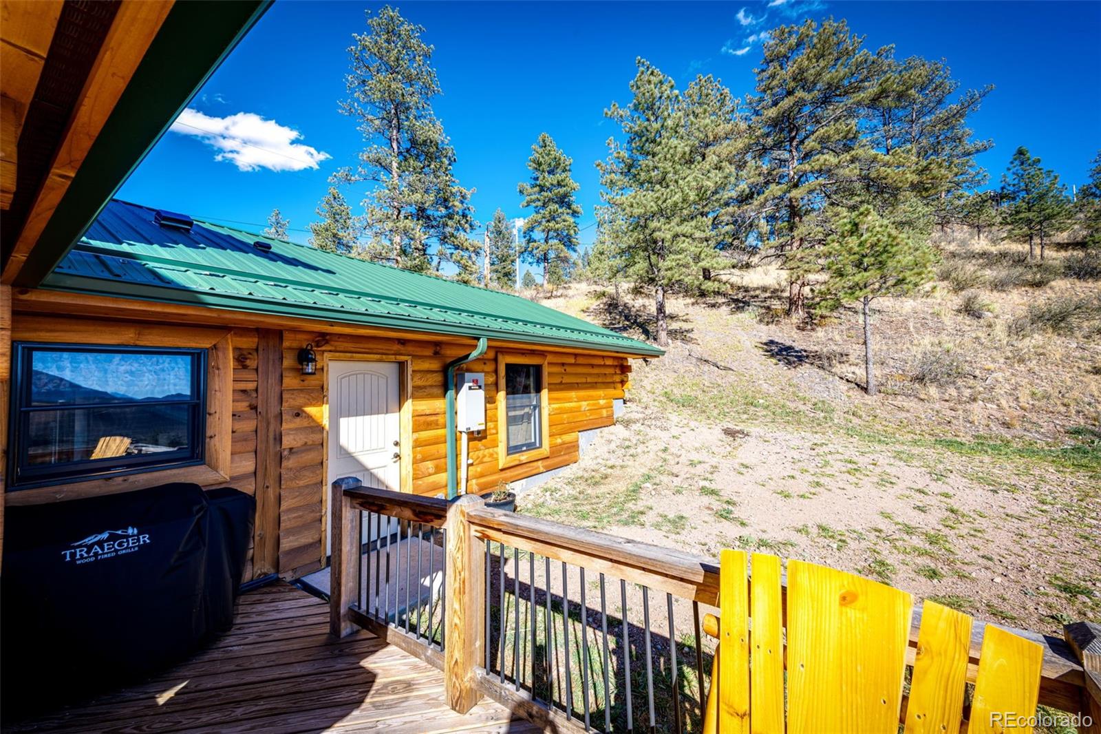 31266 Half Peak Trail Pine CO 80470