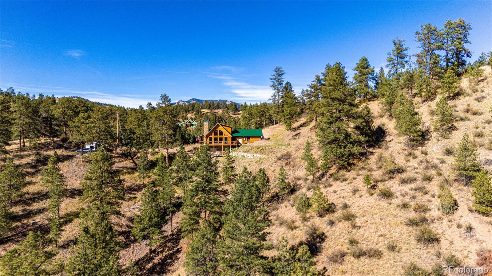 31266 Half Peak Trail Pine CO 80470