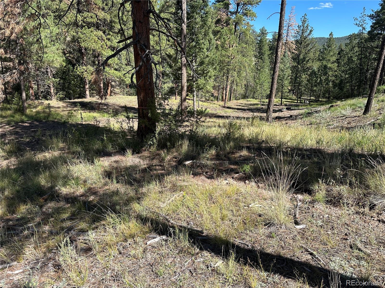 31266 Half Peak Trail Pine CO 80470