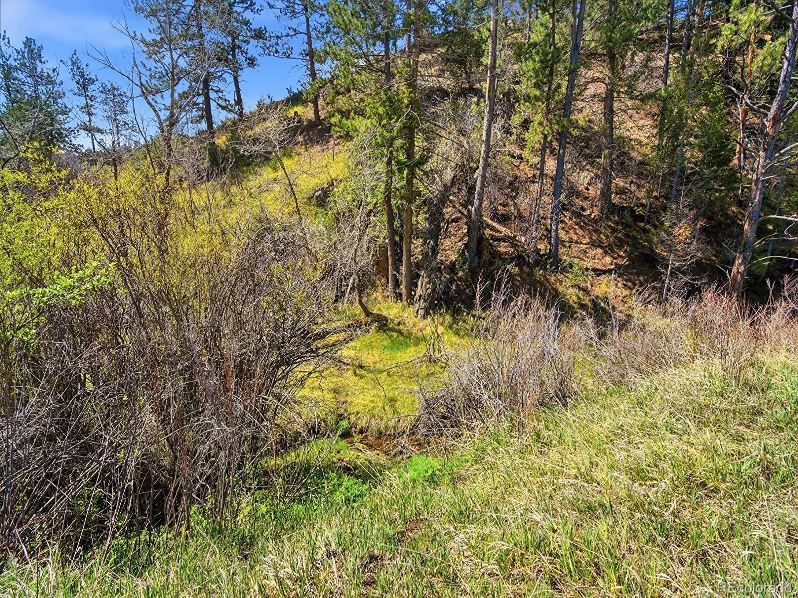 2830 Kerr Gulch Road Evergreen CO 80439