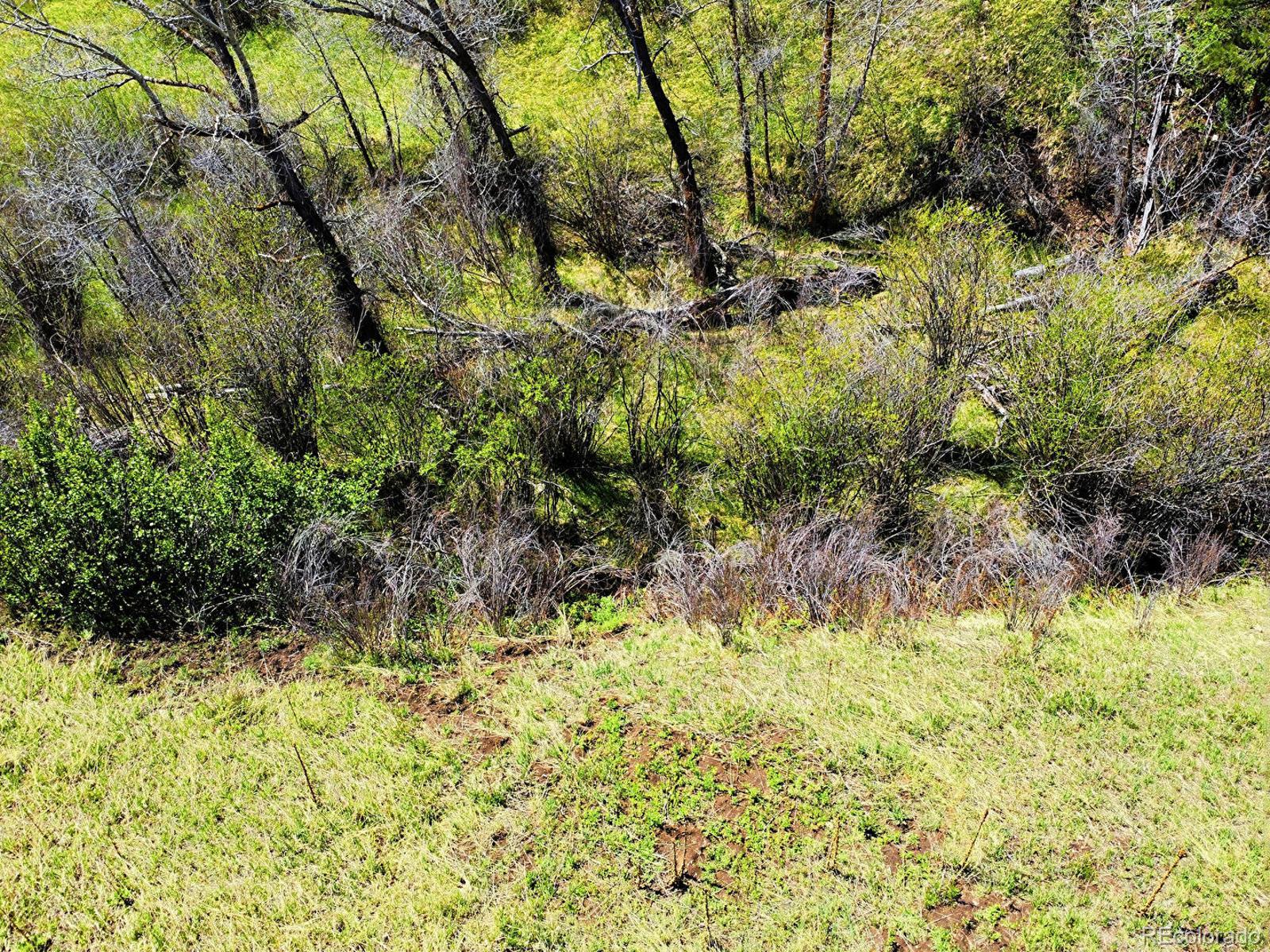 2830 Kerr Gulch Road Evergreen CO 80439