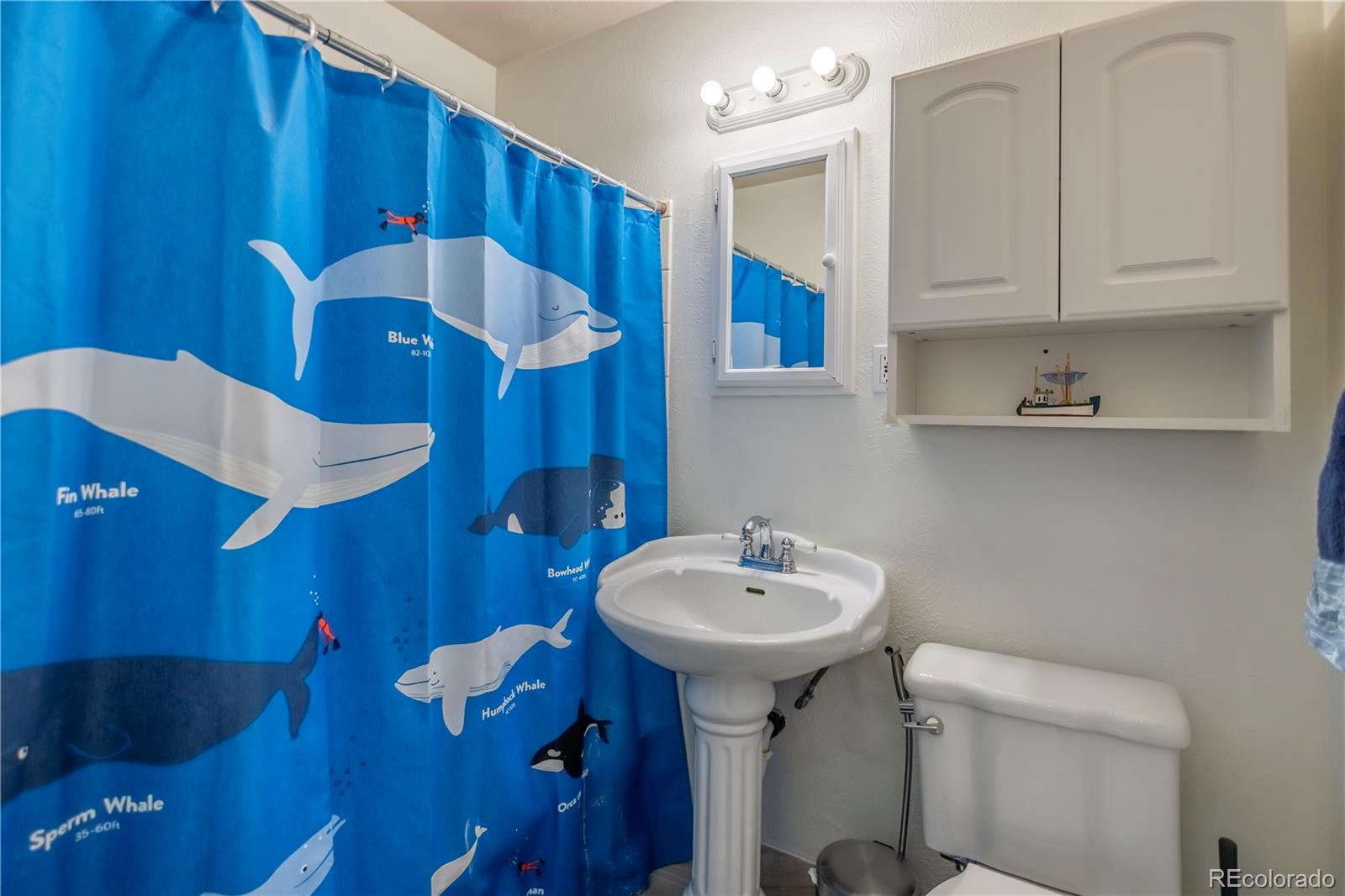 231 Hudson Street Denver CO 80220