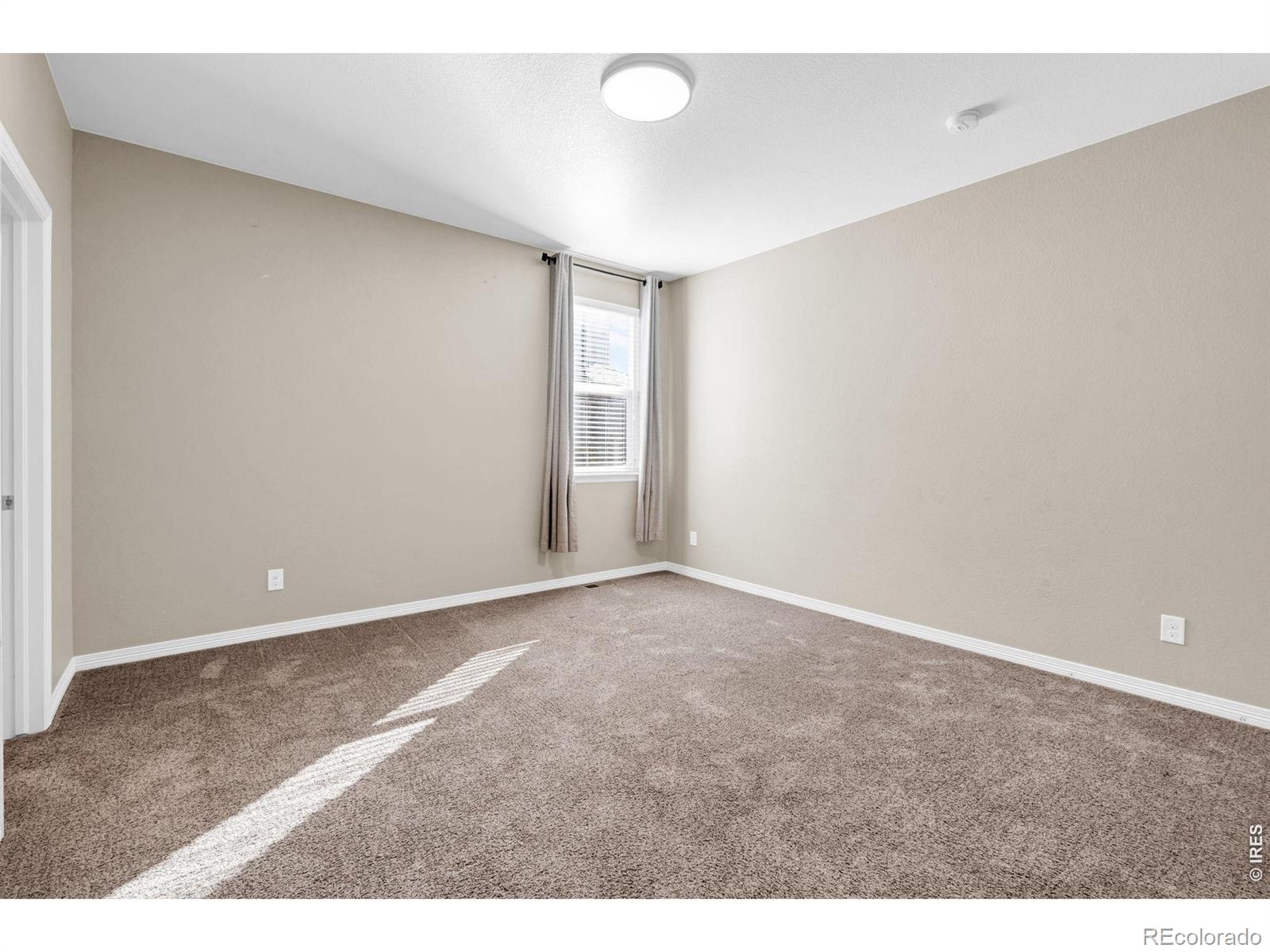 6028 Moran Road Timnath CO 80547