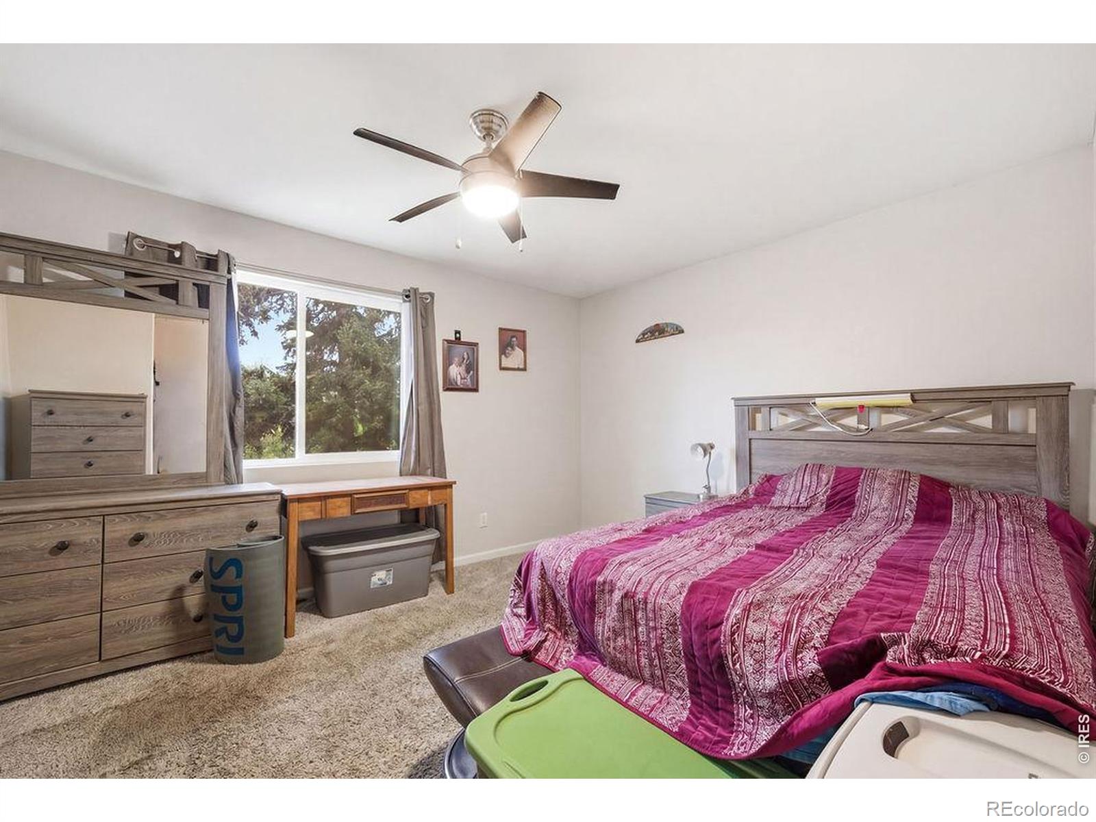4520 W 7th Street Greeley CO 80634