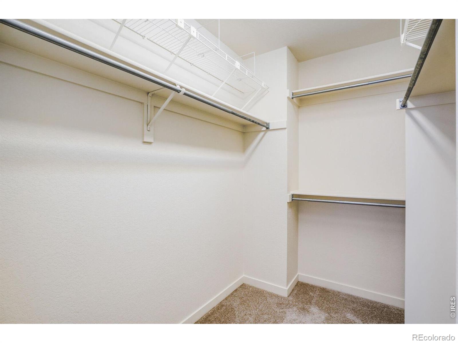 3830 Staghorn Drive Longmont CO 80503