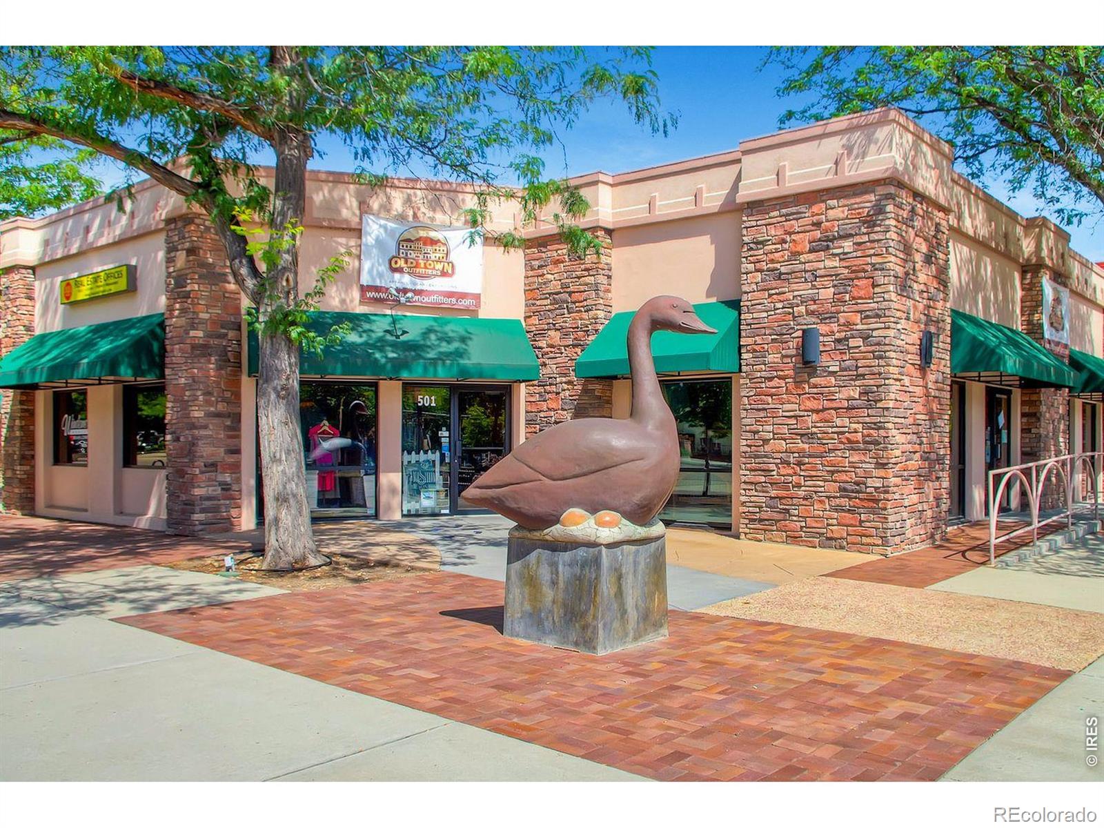 3830 Staghorn Drive Longmont CO 80503