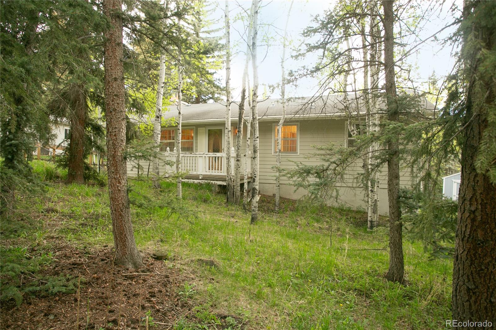 29055 S Sunset Trail Conifer CO 80433