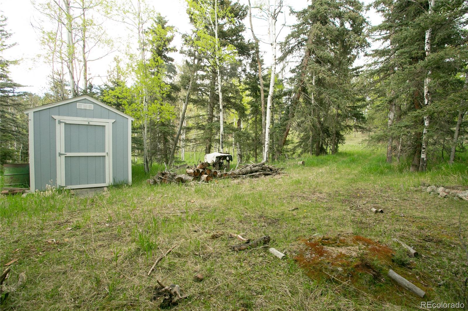 29055 S Sunset Trail Conifer CO 80433
