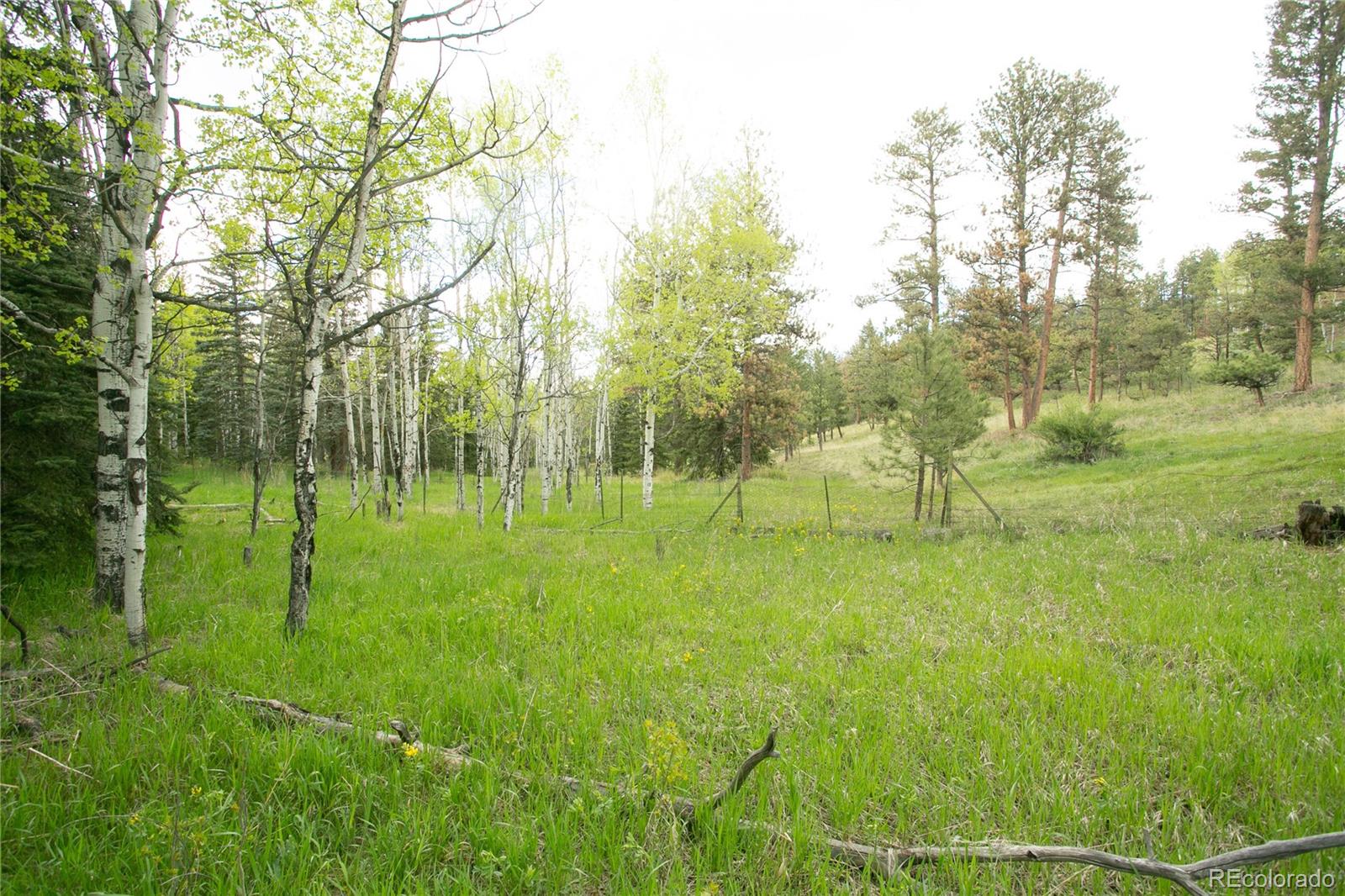 29055 S Sunset Trail Conifer CO 80433