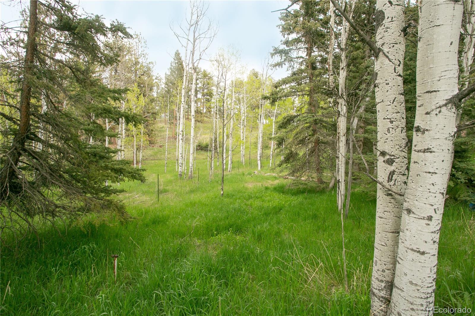 29055 S Sunset Trail Conifer CO 80433