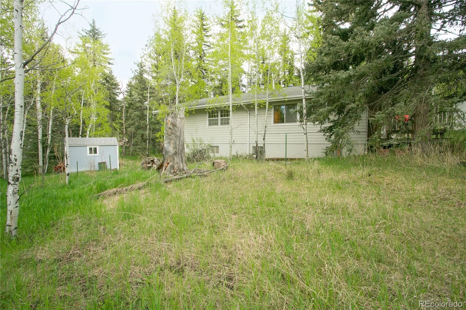 29055 S Sunset Trail Conifer CO 80433