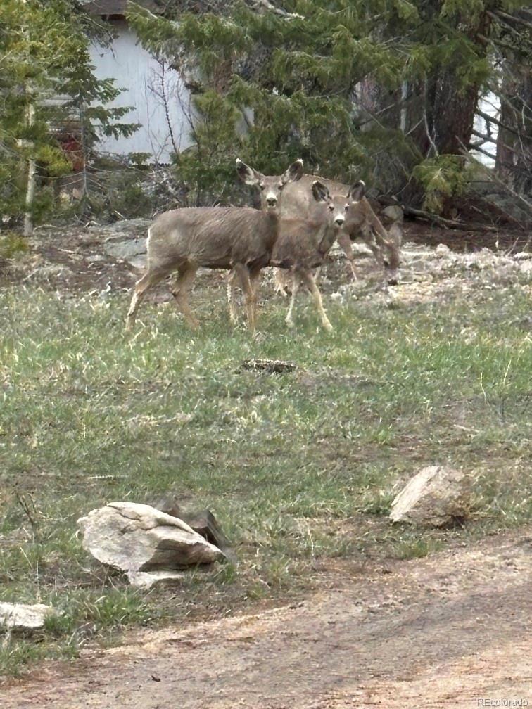 33 L Road Golden CO 80403