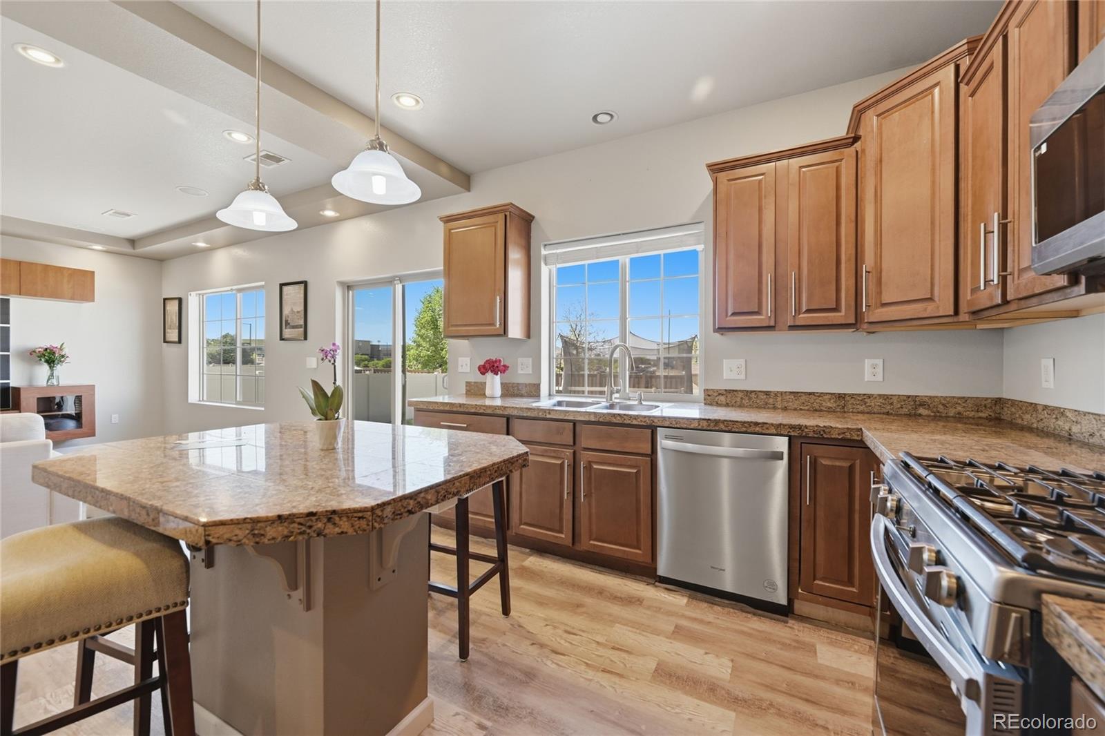 18261 E 47th Drive Denver CO 80249