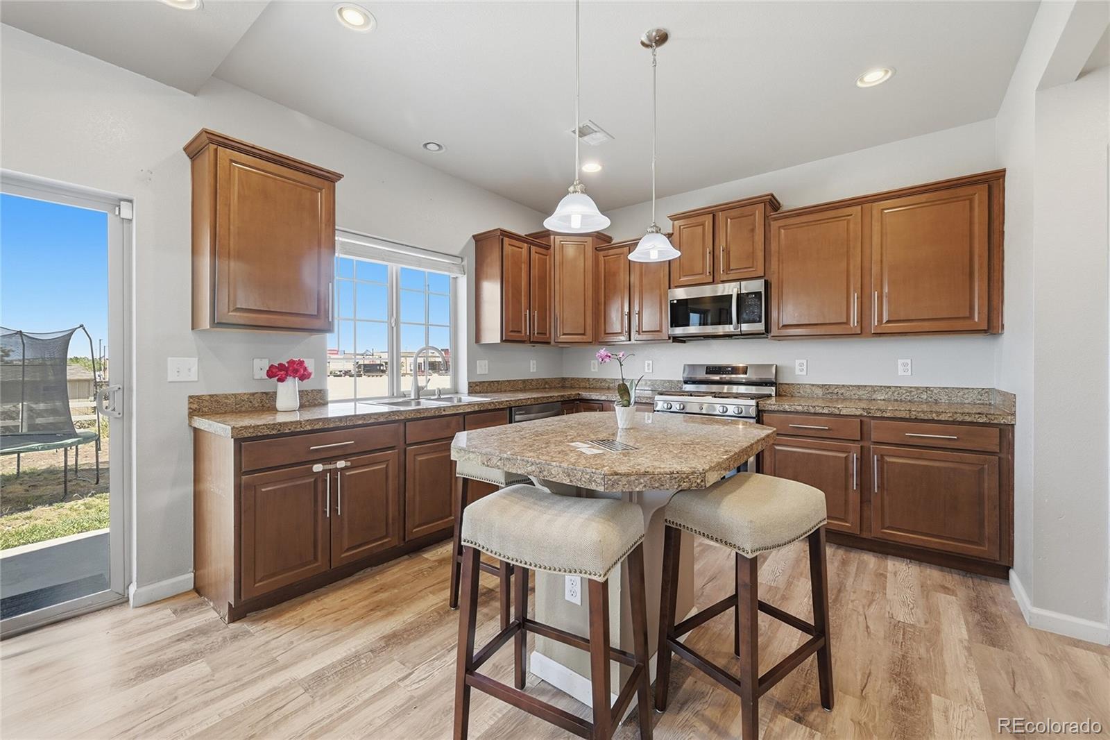 18261 E 47th Drive Denver CO 80249