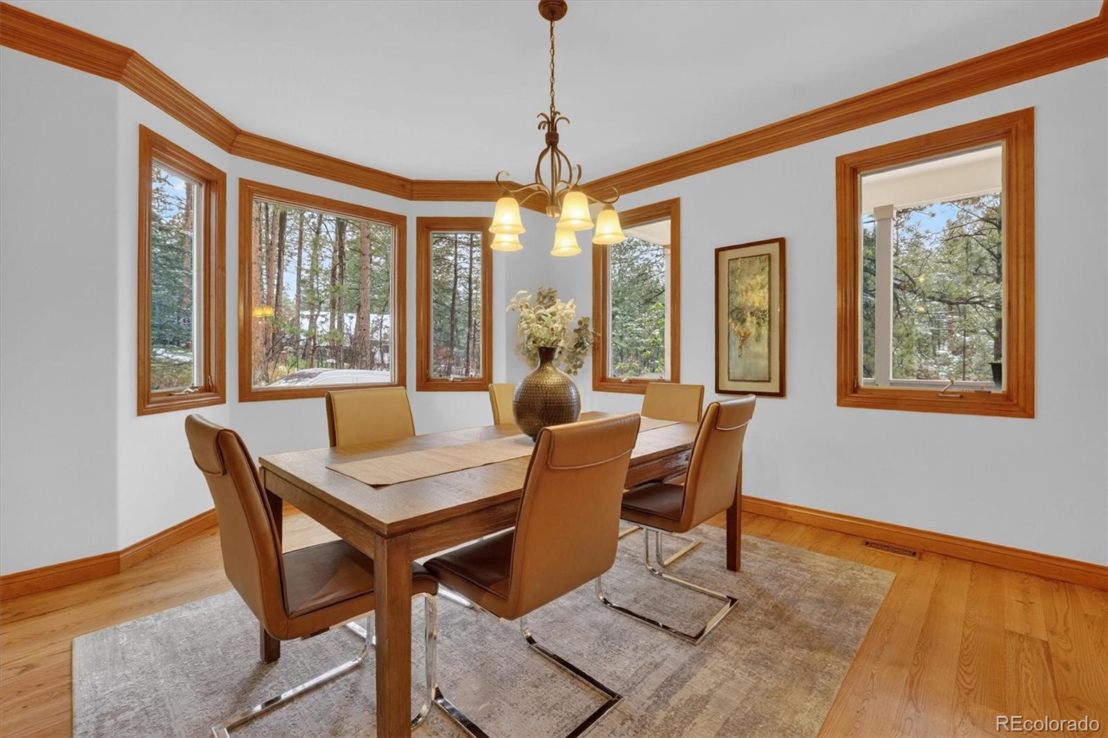 916 Tenderfoot Drive Larkspur CO 80118