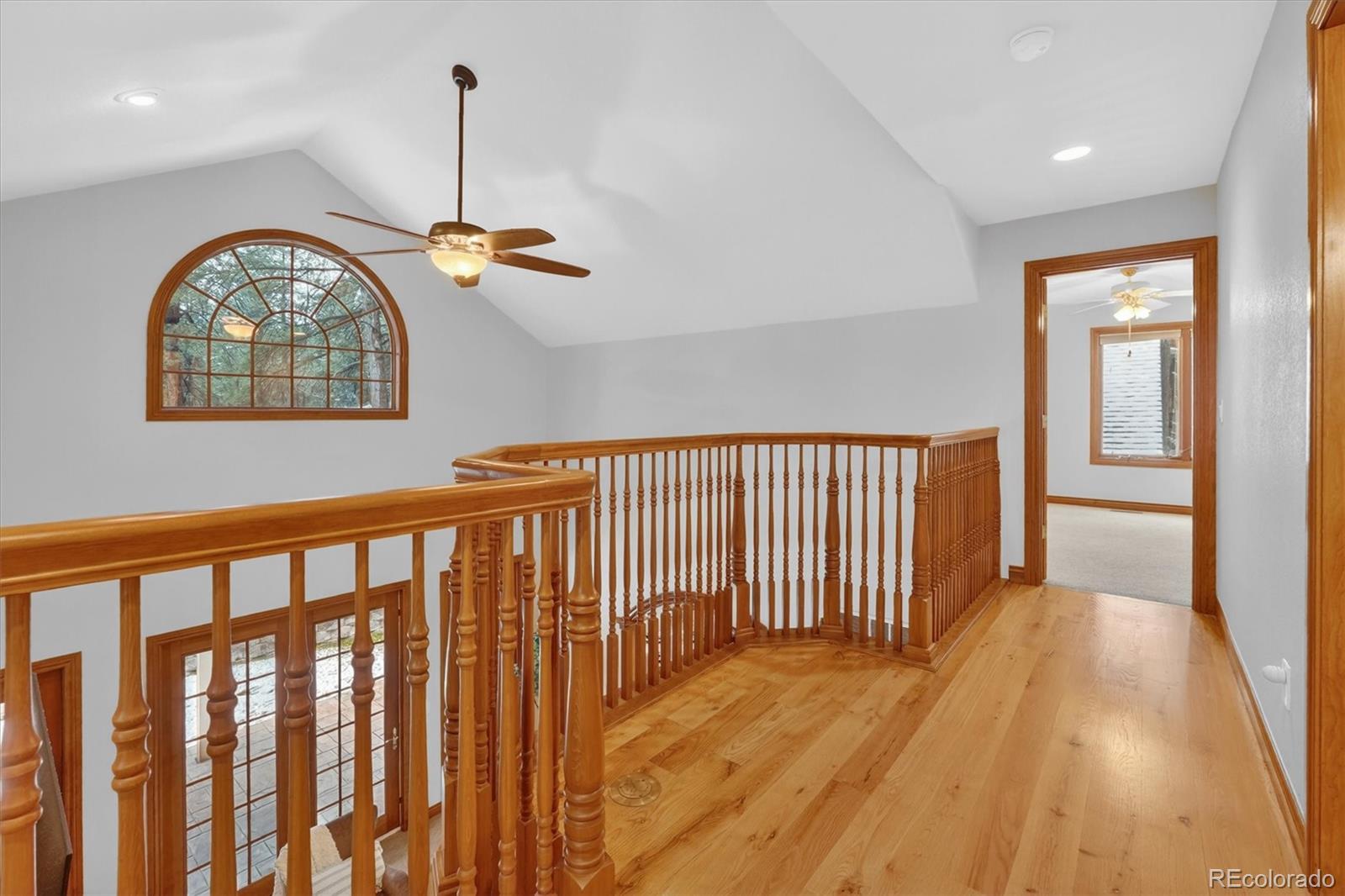 916 Tenderfoot Drive Larkspur CO 80118