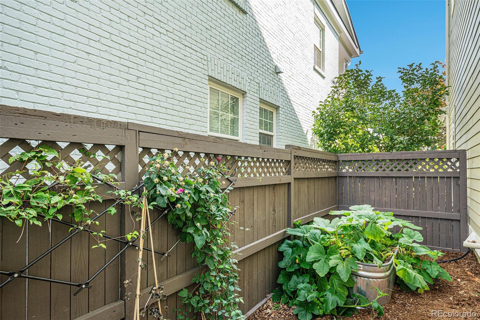 8731 E 33rd Avenue Denver CO 80238