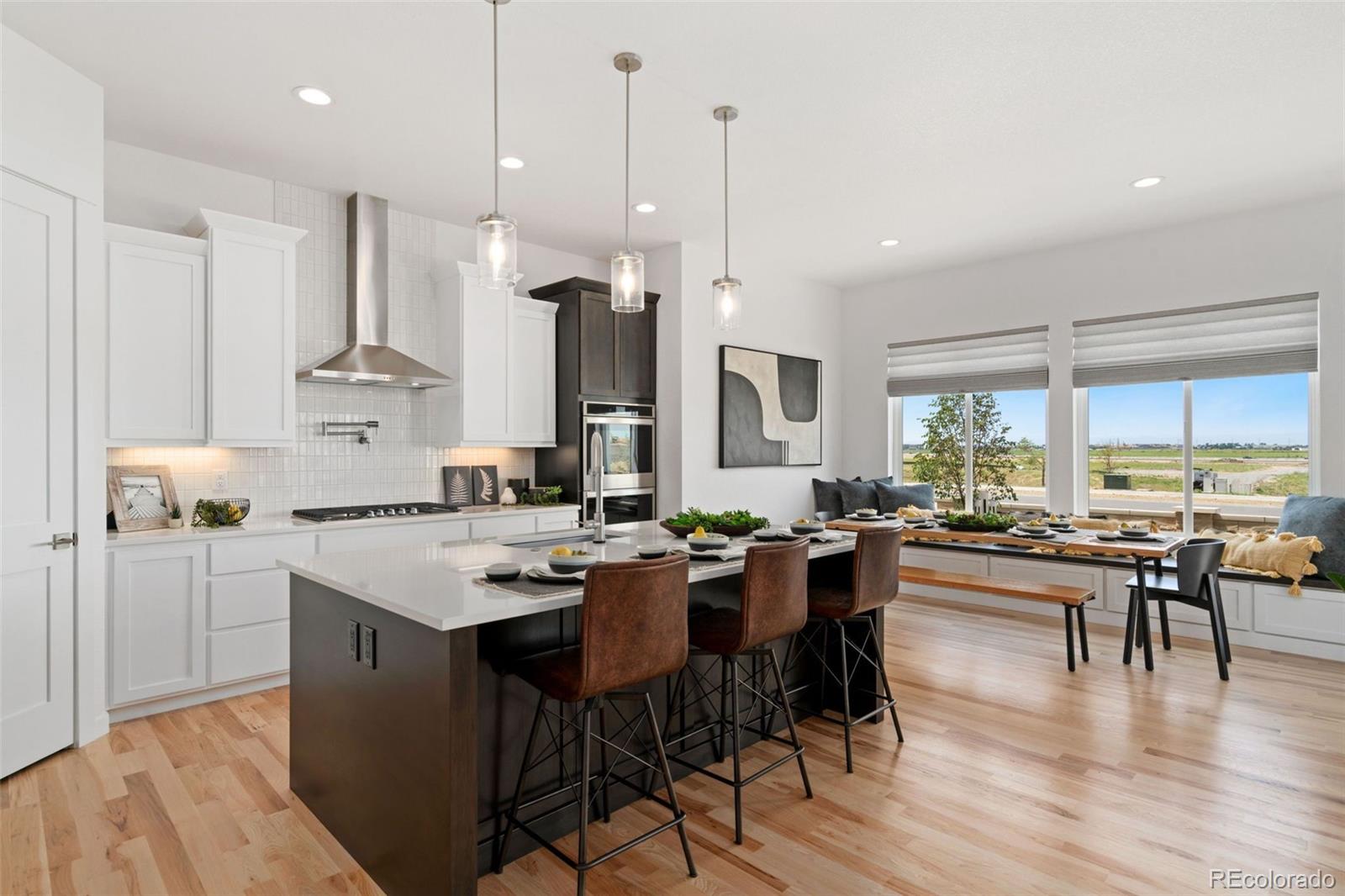3691 N Buchanan Court Aurora CO 80019