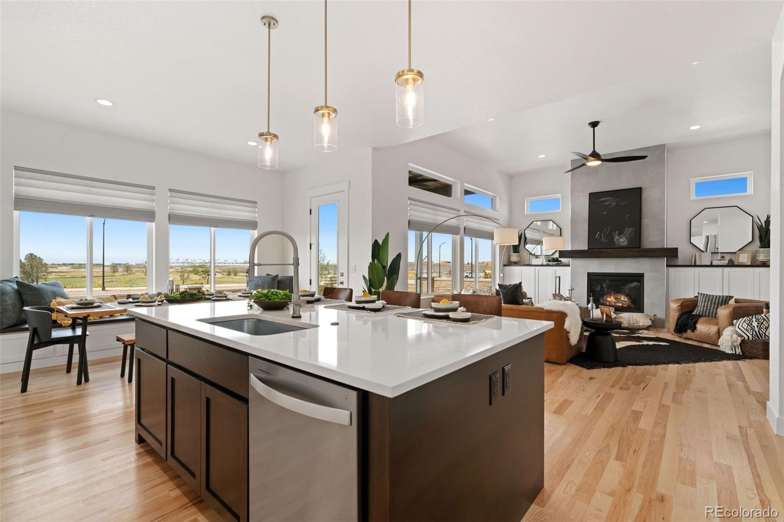 3691 N Buchanan Court Aurora CO 80019