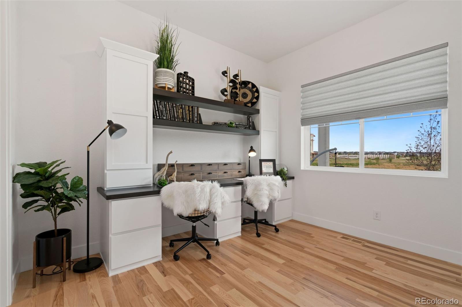 3691 N Buchanan Court Aurora CO 80019