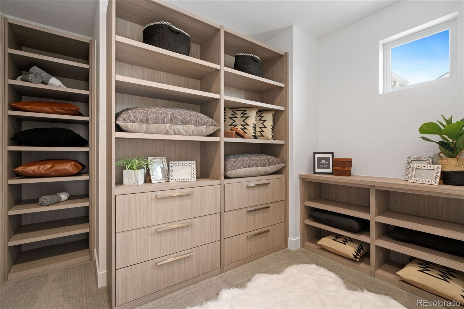3691 N Buchanan Court Aurora CO 80019