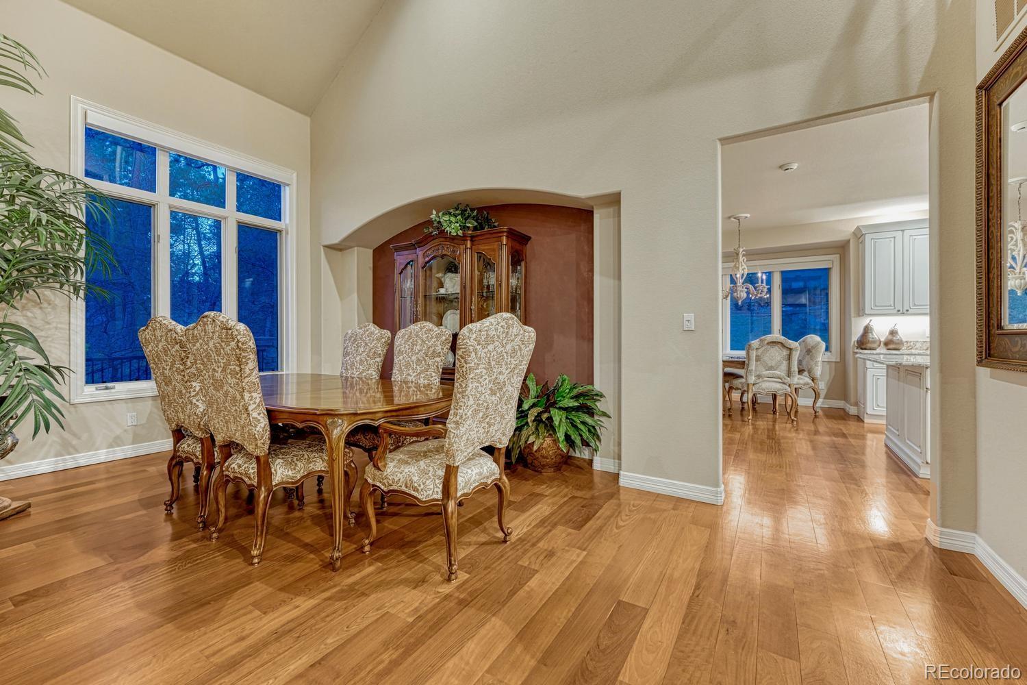 4537 Silver Dale Court Castle Rock CO 80108