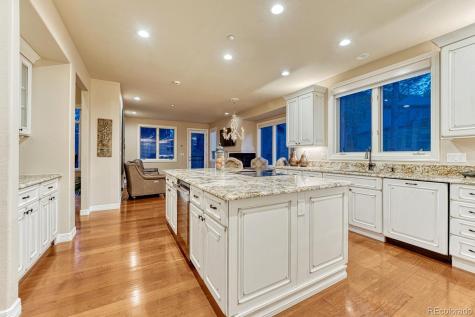 4537 Silver Dale Court Castle Rock CO 80108