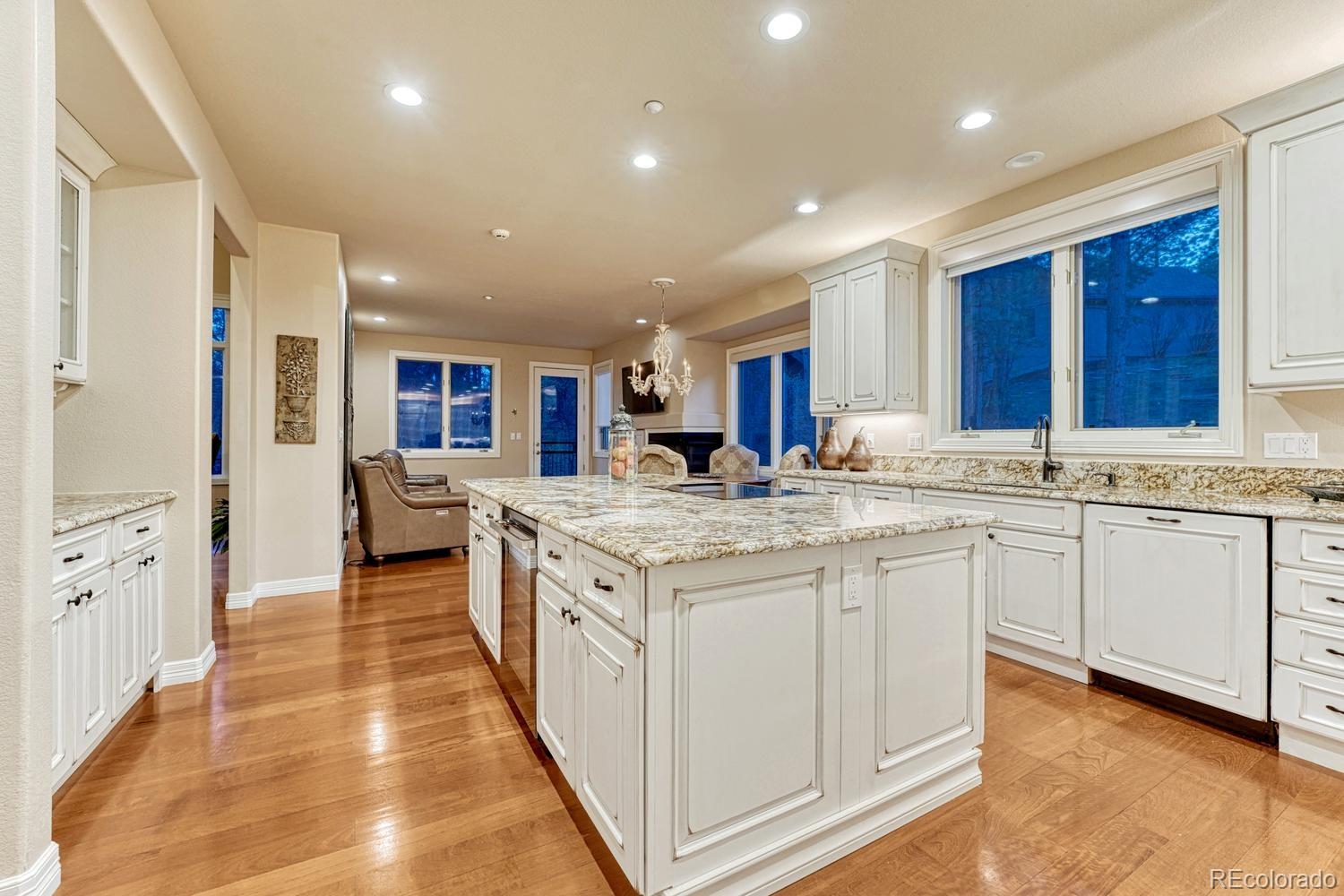 4537 Silver Dale Court Castle Rock CO 80108