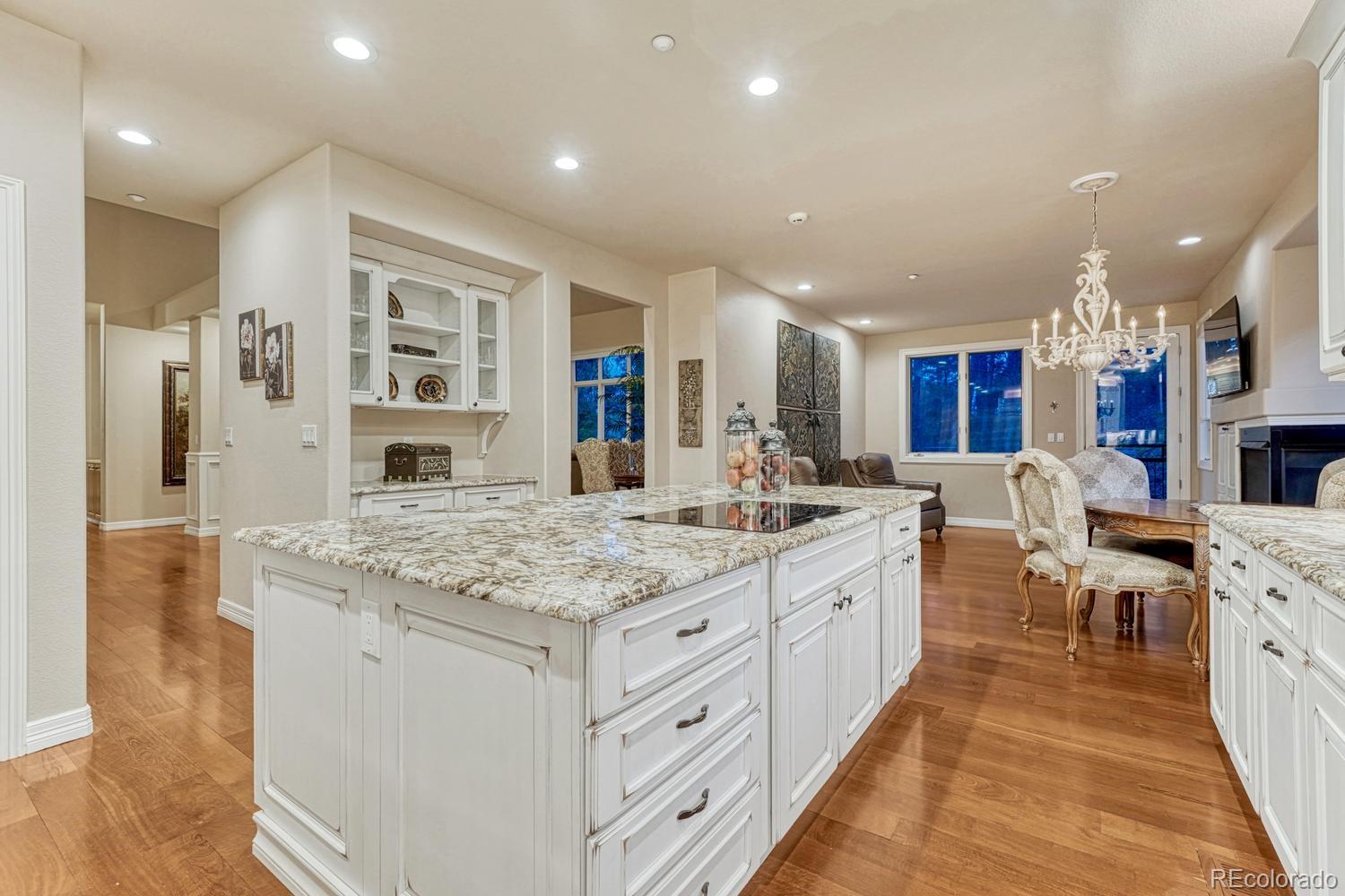 4537 Silver Dale Court Castle Rock CO 80108