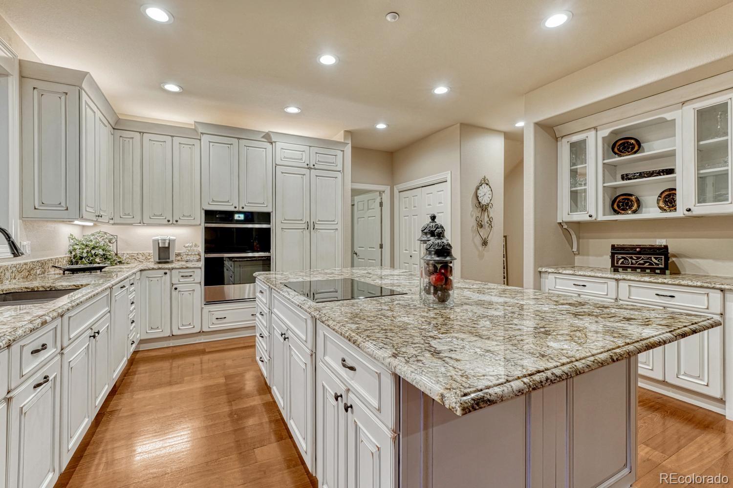 4537 Silver Dale Court Castle Rock CO 80108