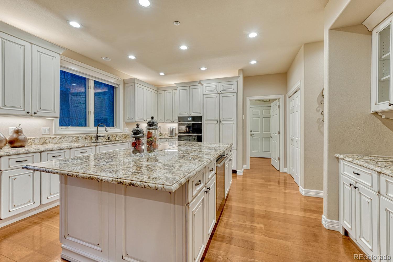 4537 Silver Dale Court Castle Rock CO 80108