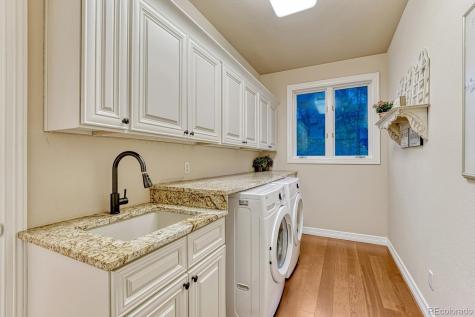 4537 Silver Dale Court Castle Rock CO 80108