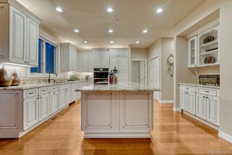 4537 Silver Dale Court Castle Rock CO 80108
