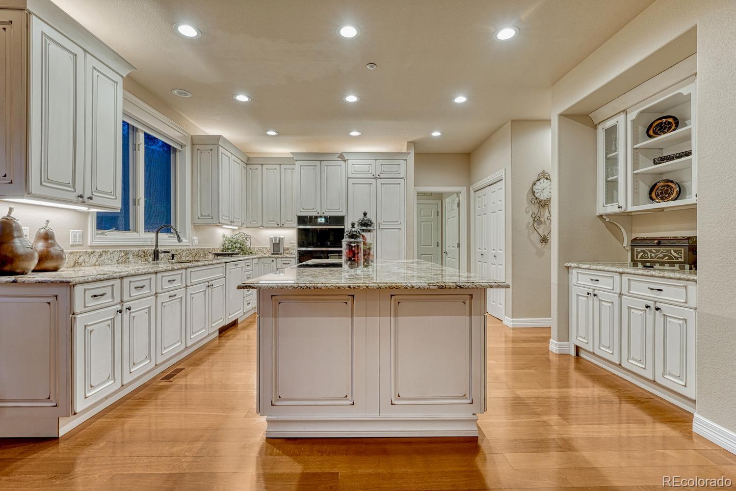 4537 Silver Dale Court Castle Rock CO 80108