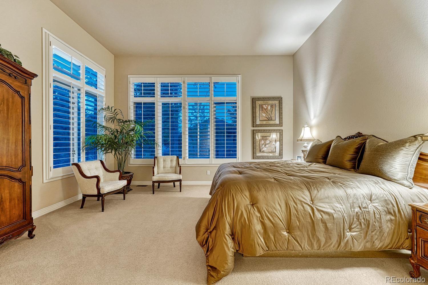 4537 Silver Dale Court Castle Rock CO 80108