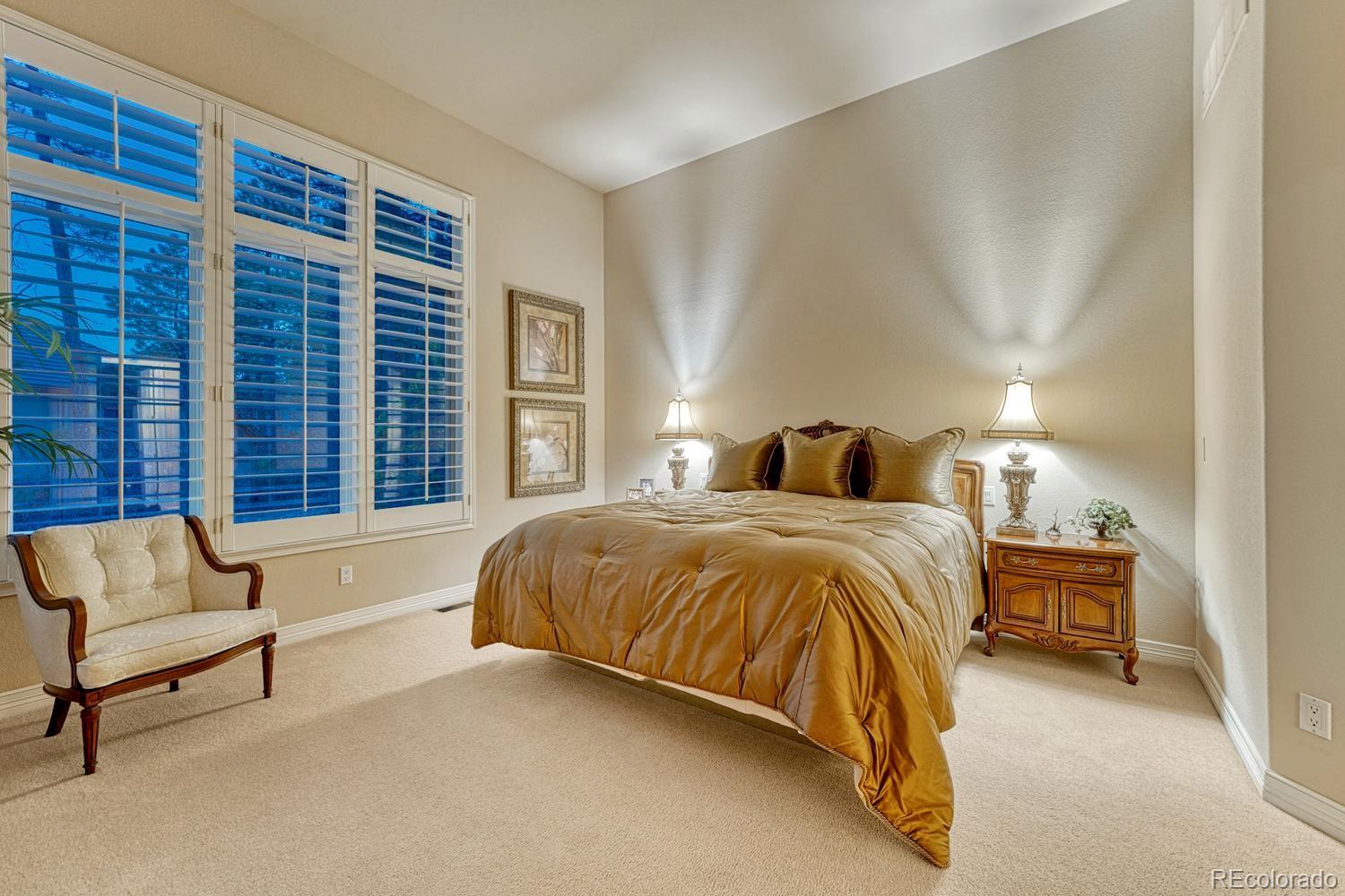 4537 Silver Dale Court Castle Rock CO 80108