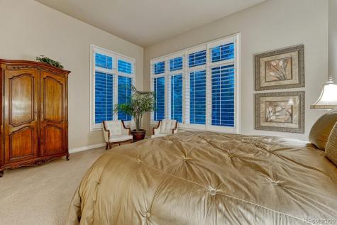 4537 Silver Dale Court Castle Rock CO 80108