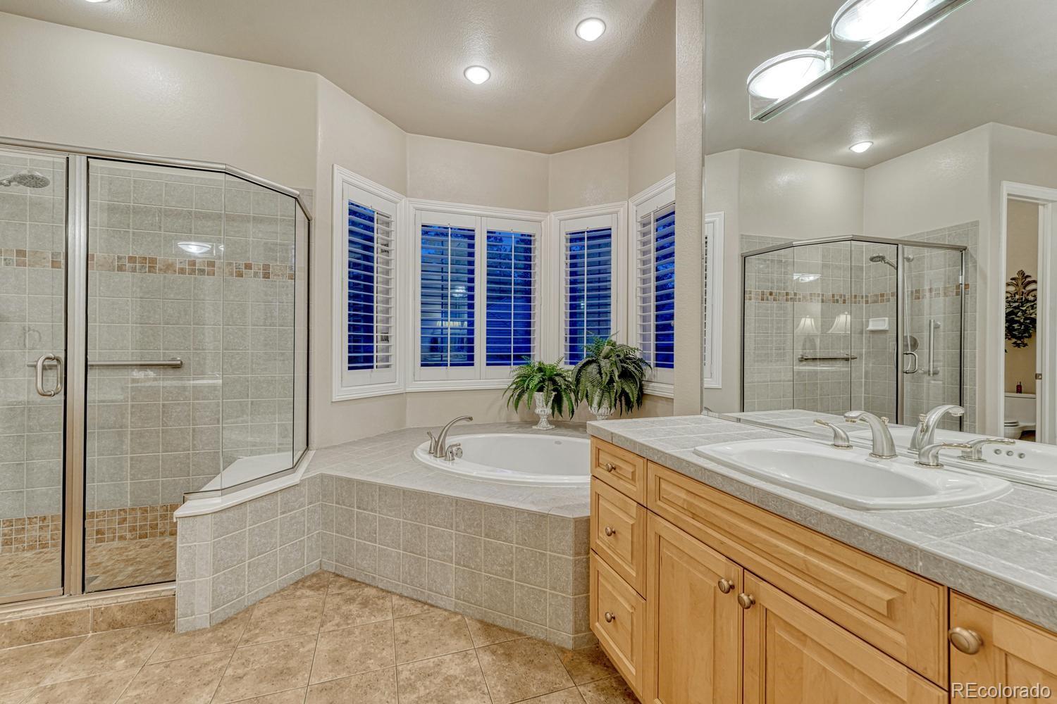 4537 Silver Dale Court Castle Rock CO 80108