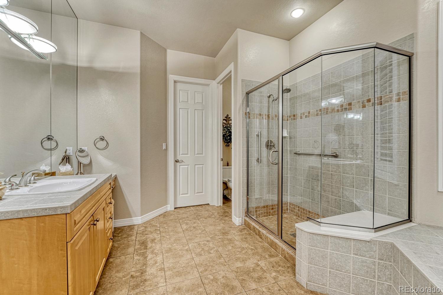 4537 Silver Dale Court Castle Rock CO 80108
